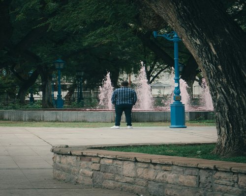 Person taking a calm walk in an urban park